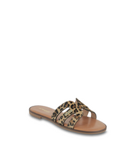 Hamigapo Mules - Leopard