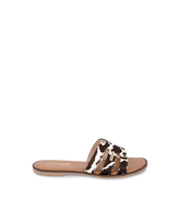 Hamigapo Mules - Cow
