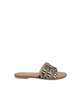 Hamigapo Mules - Zebra