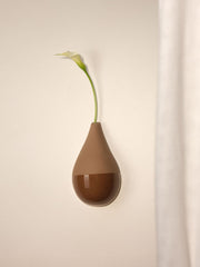 Soliflore Earth Drop - Brune Earth 1/2 Email