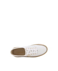 Cosmic Lace-Up Sneakers - Mesh