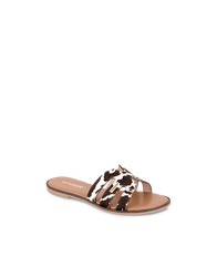 Hamigapo Mules - Cow