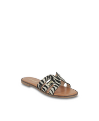 Hamigapo Mules - Zebra