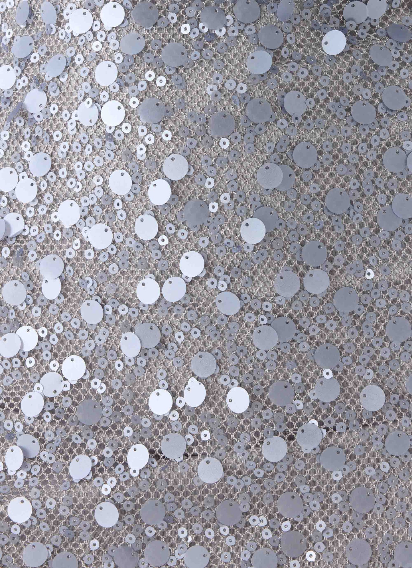 Danali Mini Dress Silver