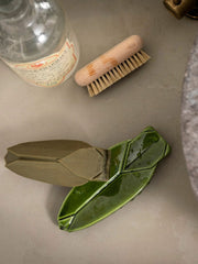 Cicada Soap Set - Olive Green