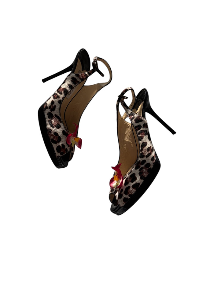 JIMMY CHOO | US 6